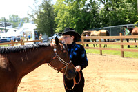 2013 Sauk Co. Horse Fair